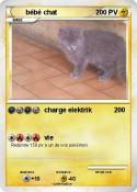 bébé chat