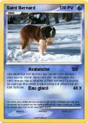 Saint Bernard 1