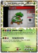 TORTERRA niv100