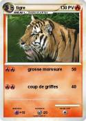 tigre tigre