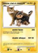 comme chat et