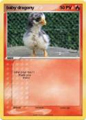 baby dragony