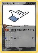 zboub zboub