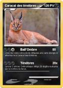 Caracal des
