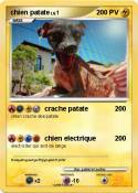chien patate