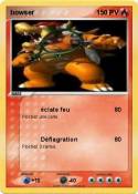 bowser