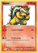Bowser Bowser