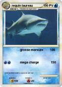 requin taureau