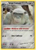 Singe Cailloux