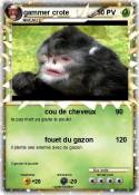 gammer crote