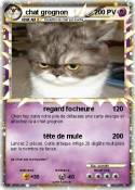 chat grognon