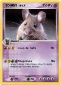  SOURIS niv.X
