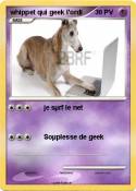 whippet qui