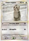 Chaton mignon