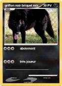 griffon noir