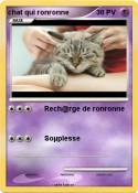 chat qui ronronne chat qui