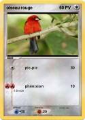 oiseau rouge