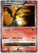 fire dragons