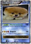 chien mignon