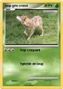 loup gris