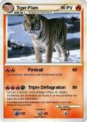 Tiger-Flam Tiger-Flam