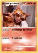 somali qui