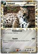 Guépard