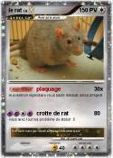 le rat