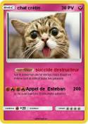 chat crétin