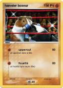 hamster boxeur