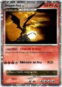 Dragon feu