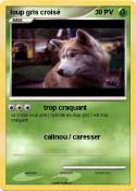 loup gris