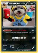 MINION petit chiot MINION petit