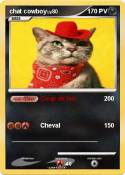 chat cowboy