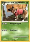 berger tervueren en t-shirt berger