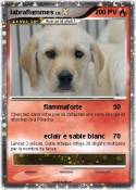 labraflammes