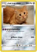 chat trop chou
