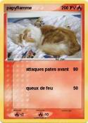papyflamme papyflamme