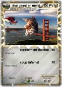 chat geant en