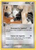 Câlins!