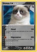 Grumpy Cat