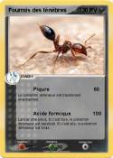 Fourmis des