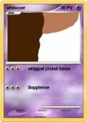 whiboxer
