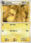 poussin poussin