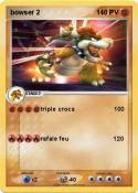 bowser 2