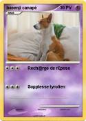 basenji canapé basenji canapé