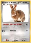 Le lapin de