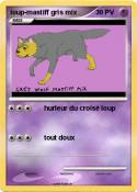 loup-mastiff gris mix loup-mastiff
