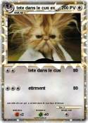 tete dans le