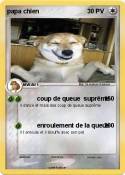papa chien